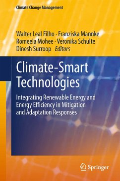 Climate-Smart Technologies (eBook, PDF)