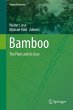 Bamboo (eBook, PDF) - Bild 1