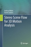 Stereo Scene Flow for 3D Motion Analysis (eBook, PDF)