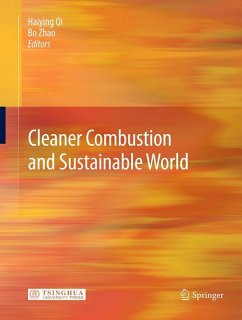 Cover Cleaner Combustion and Sustainable World (eBook, PDF)
