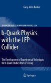 b-Quark Physics with the LEP Collider (eBook, PDF)