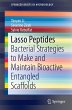 Lasso Peptides (eBook, PDF) - Bild 1
