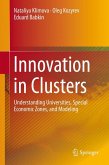 Innovation in Clusters (eBook, PDF)