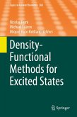 Density-Functional Methods for Excited States (eBook, PDF)