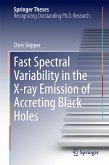 Fast Spectral Variability in the X-ray Emission of Accreting Black Holes (eBook, PDF)