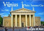 Vilnius - Baltic Summer City (eBook, ePUB)