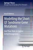 Modelling the Short QT Syndrome Gene Mutations (eBook, PDF)