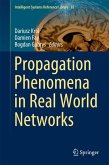 Propagation Phenomena in Real World Networks (eBook, PDF)