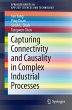 Capturing Connectivity and Causality in... - Bild 1