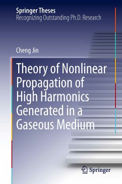 Theory of Nonlinear Propagation of High Harmonics Generated in a Gaseous Medium (eBook, PDF) - Jin, Cheng