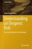 Understanding an Orogenic Belt (eBook, PDF)