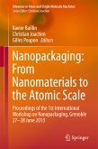 Nanopackaging: From Nanomaterials to the Atomic Scale (eBook, PDF)