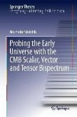 Probing the Early Universe with the CMB Scalar, Vector and Tensor Bispectrum (eBook, PDF)