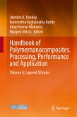 Handbook of Polymernanocomposites. Processing, Performance and Application (eBook, PDF)