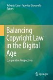 Balancing Copyright Law in the Digital Age (eBook, PDF)