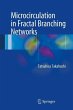 Microcirculation in Fractal Branching... - Bild 1