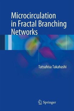 Microcirculation in Fractal Branching Networks (eBook, PDF) - Takahashi, Tatsuhisa