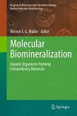 Molecular Biomineralization (eBook, PDF)