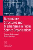 Governance Structures and Mechanisms in Public Service Organizations (eBook, PDF)