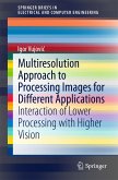 Multiresolution Approach to Processing Images for Different Applications (eBook, PDF)