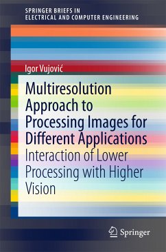 Multiresolution Approach to Processing Images for Different Applications (eBook, PDF) - Vujović, Igor