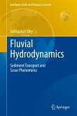 Fluvial Hydrodynamics (eBook, PDF)