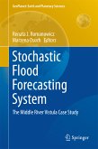 Stochastic Flood Forecasting System (eBook, PDF)