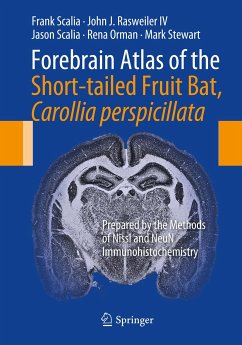 Forebrain Atlas of the Short-tailed Fruit Bat, Carollia perspicillata (eBook, PDF) - Scalia, Frank; Rasweiler IV, John J; Scalia, Jason; Orman, Rena; Stewart, Mark