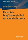 Horizontale Europäisierung im Feld der Arbeitsbeziehungen (eBook, PDF)