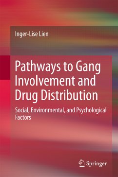 Pathways to Gang Involvement and Drug Distribution (eBook, PDF) - Lien, Inger-Lise