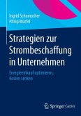 Strategien zur Strombeschaffung in Unternehmen (eBook, PDF)