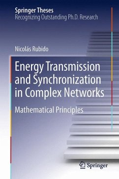 Energy Transmission and Synchronization in Complex Networks (eBook, PDF) - Rubido, Nicolás