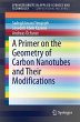 A Primer on the Geometry of Carbon... - Bild 1