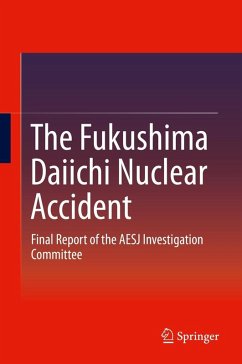 The Fukushima Daiichi Nuclear Accident (eBook, PDF)