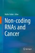 Non-coding RNAs and Cancer (eBook, PDF) - Bild 1