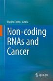 Non-coding RNAs and Cancer (eBook, PDF)