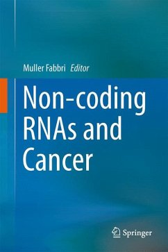 Non-coding RNAs and Cancer (eBook, PDF)