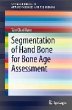 Segmentation of Hand Bone for Bone Age... - Bild 1