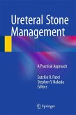 Ureteral Stone Management (eBook, PDF)