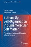 Bottom-Up Self-Organization in Supramolecular Soft Matter (eBook, PDF)