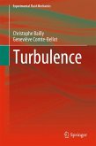 Turbulence (eBook, PDF)