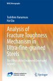 Analysis of Fracture Toughness Mechanism in Ultra-fine-grained Steels (eBook, PDF)