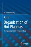 Self-Organization of Hot Plasmas (eBook, PDF)