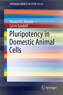 Pluripotency in Domestic Animal Cells (eBook, PDF) - Brevini, Tiziana A.L.; Gandolfi, Fulvio