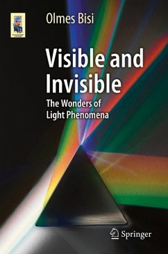 Visible and Invisible (eBook, PDF) - Bisi, Olmes