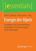 Energie der Alpen (eBook, PDF)