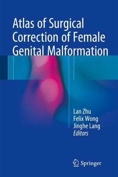 Atlas of Surgical Correction of Female Genital Malformation (eBook, PDF)