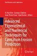 Advanced Experimental and Numerical... - Bild 1