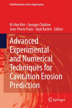 Advanced Experimental and Numerical Techniques for Cavitation Erosion Prediction (eBook, PDF)