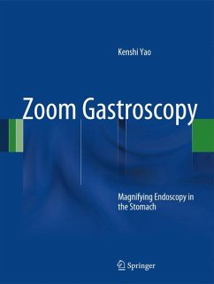 Zoom Gastroscopy (eBook, PDF) - Yao, Kenshi